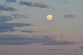 Full Moon September 2021 Horoscope - What to expect from the September Harvest Full Moon in Pisces 2021