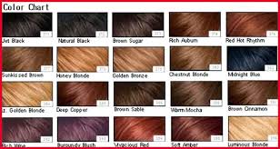 Beautiful Different Types Of Hair Colors Collection Of Hair