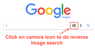 reverse image search in google