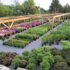 pittsburgh area nursery and landscape