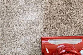 leave salt on carpet to kill fleas
