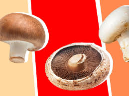 Then, add mushrooms and sauté for approx. The Difference Between Cremini Button And Portobello Mushrooms Eater