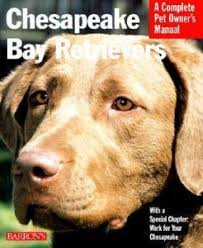 Chesapeake Bay Retrievers Barrons Complete Pet Owners Man