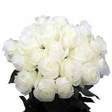 white roses in chennai tamil nadu at