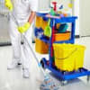 find carpet upholstery cleaners near
