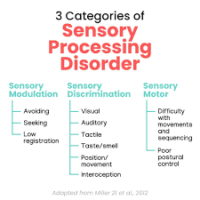 33 signs of sensory processing disorder