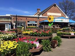 Local Nurseries And Garden Centers In