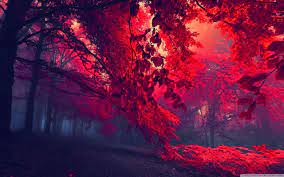 Red Jungle Wallpapers - Top Free Red ...