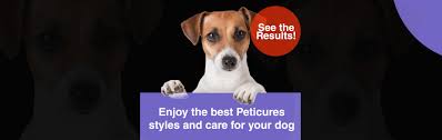peticures for pets dog nail t