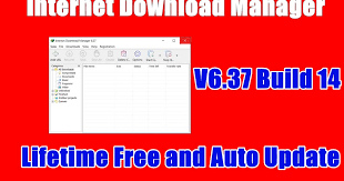 Internet download manager (idm) is a tool to increase downloadspeeds by up to 5 times, resume, and schedule downloads. Idm Internet Download Manager 6 37 Build 14 Free Download Working 100