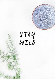 stay wild free printable lolly jane