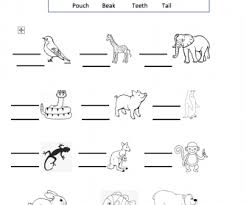 Make spaghetti string worksheet with body parts: Animal Body Parts Grade 2 Worksheet