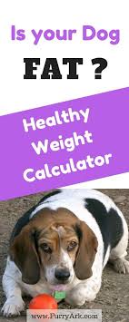 Dog Obesity Chart Use The Ideal Dog Weight Calculator To
