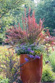 deer resistant containers before