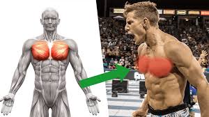 upper chest exercises for stronger pecs