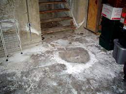 Rotting Basement Floors Basement