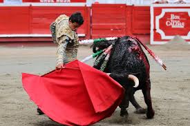 Los toreros nuestros que estàn fuera, no olvidarlos...Juan de Castilla,  Bolívar, Ritter, Arcila, Pinilla - Tendido7