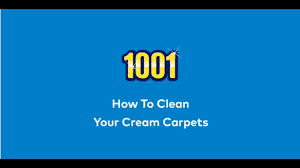 want a good carpet cleaner choose 1001