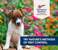 Pest control is the regulation or management of a species defined as a pest, a member of the animal kingdom that impacts adversely on human activities. Options For Organic Pest Control