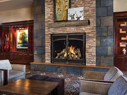 Gas Fireplace Pellet Wood Stove