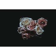It's wise checking our wallpaper calculator (available on each product page and also as a visual wallpaper calculator) to ensure you don't under or overbuy. 30 Beautiful Rose Wallpapers For Flower Lovers Inspirationfeed
