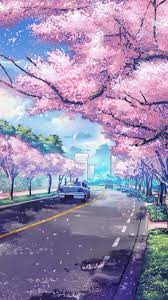 anime cherry blossoms anese