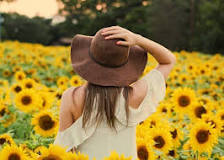 what-color-should-i-wear-to-a-sunflower-field
