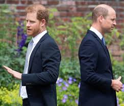 prince harry and william s feud may