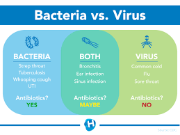 Do I Need An Antibiotic Know The Difference Between Viral