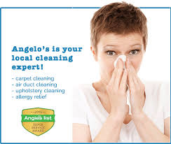 ambler carpet cleaners best reviews in