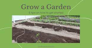 5 Tips For Starting A New Garden Our