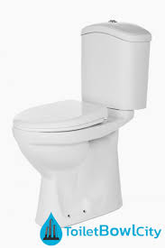 Install Saniton Toilet Bowls
