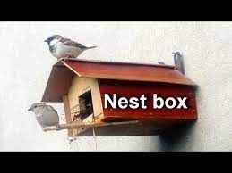 How To Build A Sparrow Bird House At