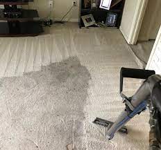 same day carpet cleaning terry s
