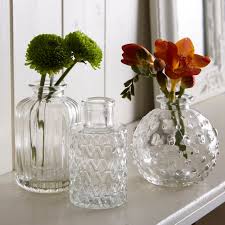 Glass Vases