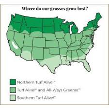 Northern Turf Alive Grass Seed Mixture