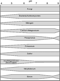 Soil Ph Acid Soil Or Alkaline Soil What You Need To Know