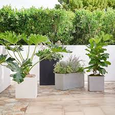 cityscape indoor outdoor planters