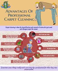 fair um carpet cleaning pest