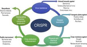 crispr cas9 genome editing