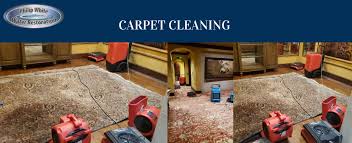 carpet cleaning services in ocoee fl