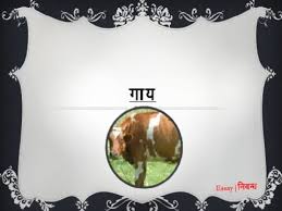 Learn Animal Names in Hindi 