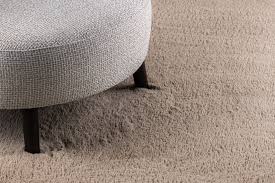 carpet cosmo beige wilhelmina designs