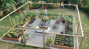 secrets to growing a vegetable garden