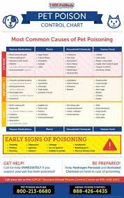 Pet Poison Control Chart Most Common Causes Of Pet Poisoning