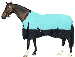 Measuring A Horse For A Blanket Experifaith Org