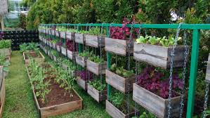 Trending 15 Home Vegetable Garden Ideas
