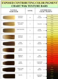 72 Qualified Bleaching Hair Color Level Chart