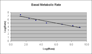 graphing metabolic rate
