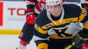 Easy to use tools for slicing and dicing ohl statistics in every way imaginable. Ohl Whl Delay Opening 2020 21 Campaign Until December After Covid 19 Shutdown Cbc Sports